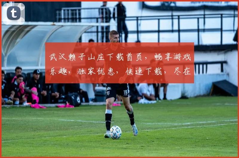 武汉赖子山庄下载首页，畅享游戏乐趣，独家优惠，快速下载，尽在掌握